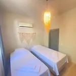 Vera *
